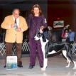 JESSIE'S FIRST SHOW @ 6 MONTHS OLD- SARATOGA SPRINGS,NY
